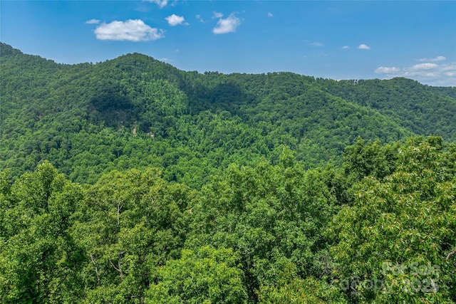 99999 Countryside Est, Barnardsville, NC 28709 - photo 17