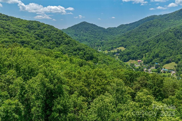 99999 Countryside Est, Barnardsville, NC 28709 - photo 18
