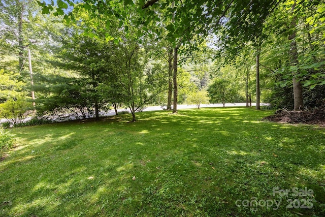 13884 Cruso Rd, Canton, NC 28716 - view of grassy yard