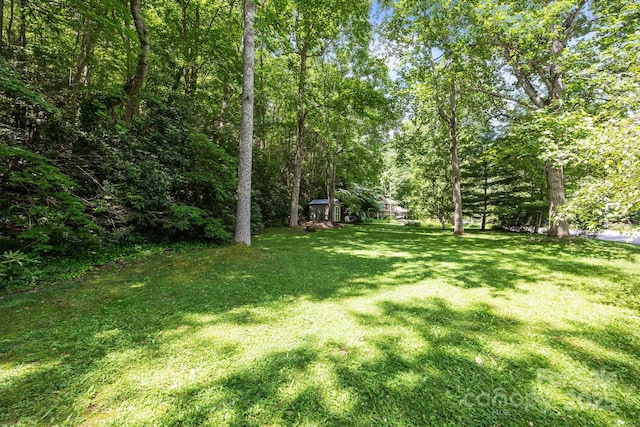 13884 Cruso Rd, Canton, NC 28716 - view of grassy yard