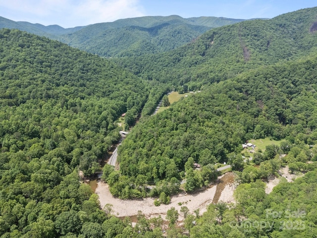 13884 Cruso Rd, Canton, NC 28716 - bird's eye view of a heavily wooded area and a mountain backdrop