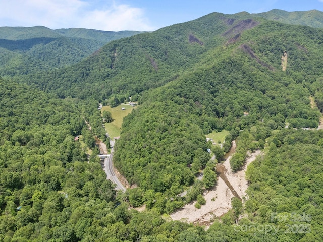 13884 Cruso Rd, Canton, NC 28716 - aerial view of property's location featuring a heavily wooded area and mountains