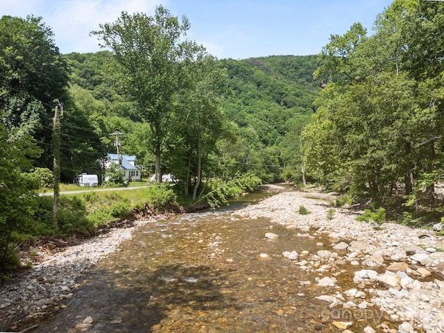 13884 Cruso Rd, Canton, NC 28716 - view of road featuring a forest view
