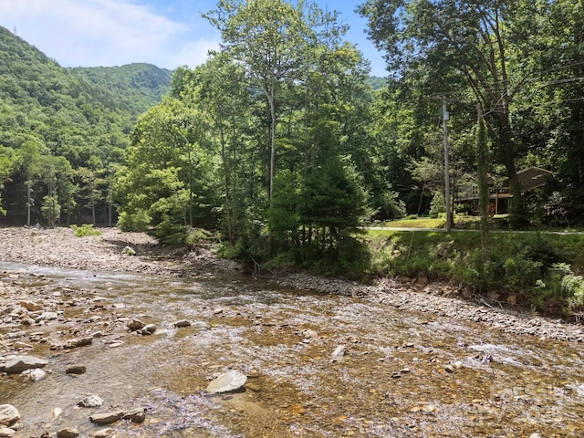 13884 Cruso Rd, Canton, NC 28716 - view of mountain backdrop featuring a forest