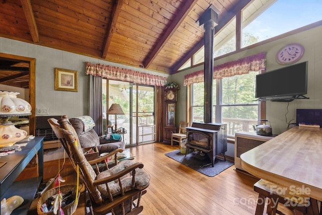 13884 Cruso Rd, Canton, NC 28716 - home office with a wood stove, light wood-style floors, healthy amount of natural light, and wood ceiling