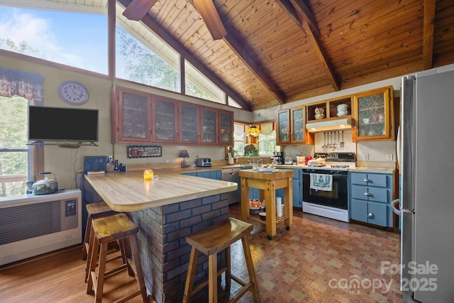 13884 Cruso Rd, Canton, NC 28716 - kitchen featuring stainless steel appliances, under cabinet range hood, a peninsula, a wood ceiling with exposed beams, and light countertops