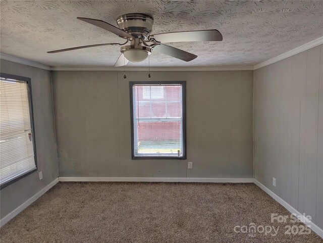 269 Westwood Cir, Waynesville, NC 28786 - photo 15