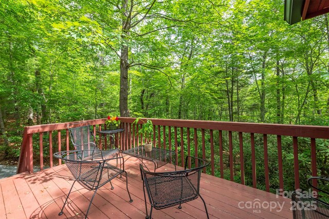 114 Richard Ln, Black Mountain, NC 28711 - photo 28