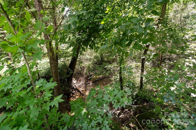 9982 Southwinds Dr, Indian Land, SC 29707 - photo 10