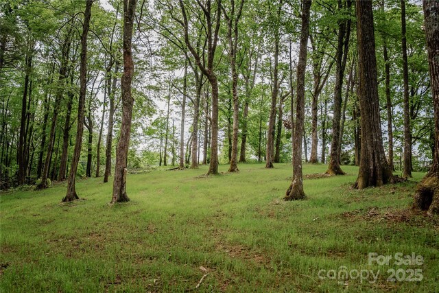 136 Day Dr, Boone, NC 28607 - photo 4