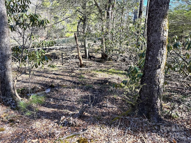 136 Day Dr, Boone, NC 28607 - photo 45