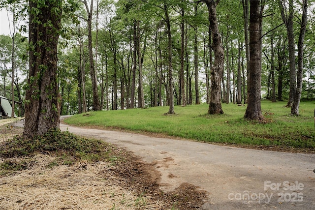 136 Day Dr, Boone, NC 28607 - photo 48