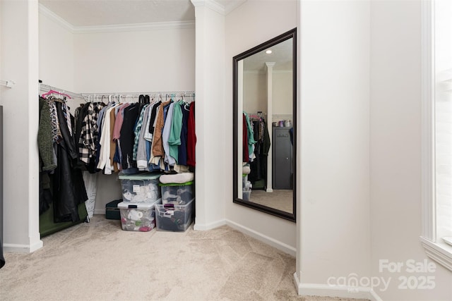 1593 Bloomfield Rd, Rock Hill, SC 29732 - walk in closet with carpet