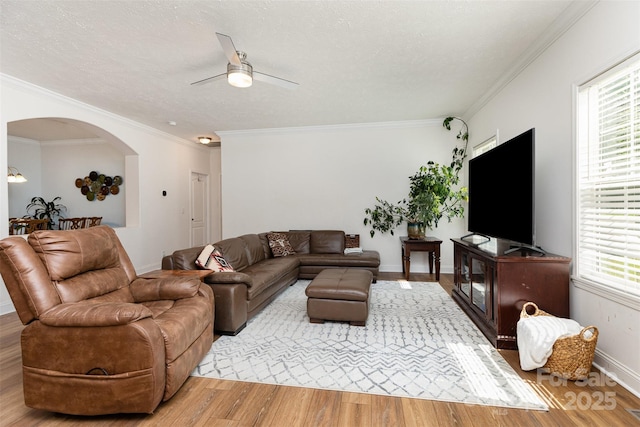 1593 Bloomfield Rd, Rock Hill, SC 29732 - living room with arched walkways, a ceiling fan, light wood-style flooring, crown molding, and a textured ceiling