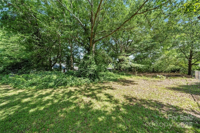 124 Marion St, Clover, SC 29710 - view of grassy yard
