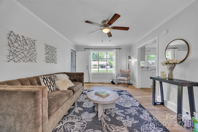 2222 19th Ave NE, Hickory, NC 28601 - living area featuring healthy amount of natural light, crown molding, a ceiling fan, and light wood-type flooring