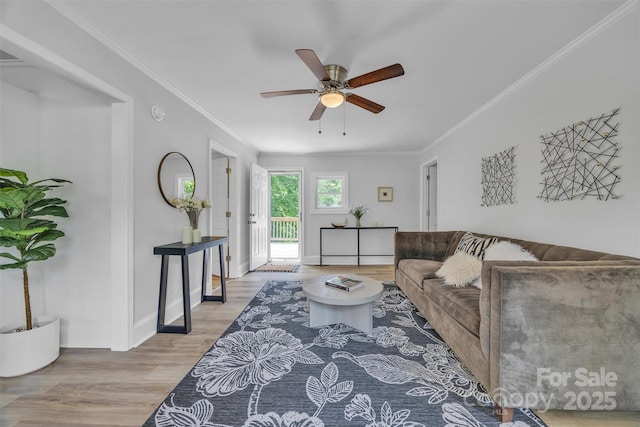 2222 19th Ave NE, Hickory, NC 28601 - living area with light wood-type flooring, ceiling fan, and ornamental molding