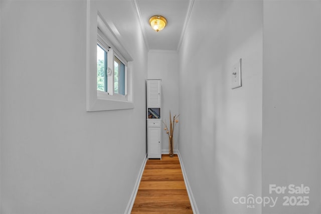 2222 19th Ave NE, Hickory, NC 28601 - hall featuring crown molding and light wood-style floors