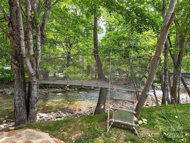 14715 Cruso Rd, Canton, NC 28716 - view of yard