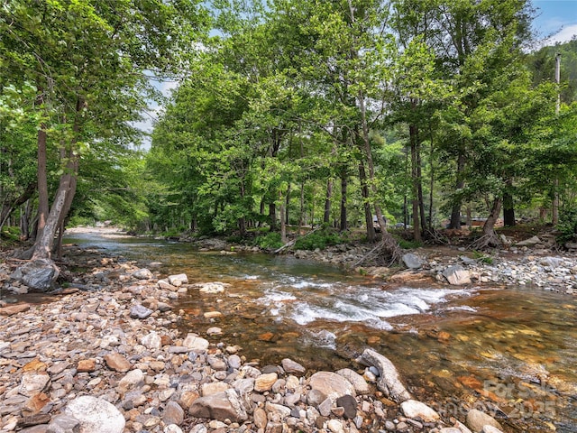 14715 Cruso Rd, Canton, NC 28716 - view of local wilderness