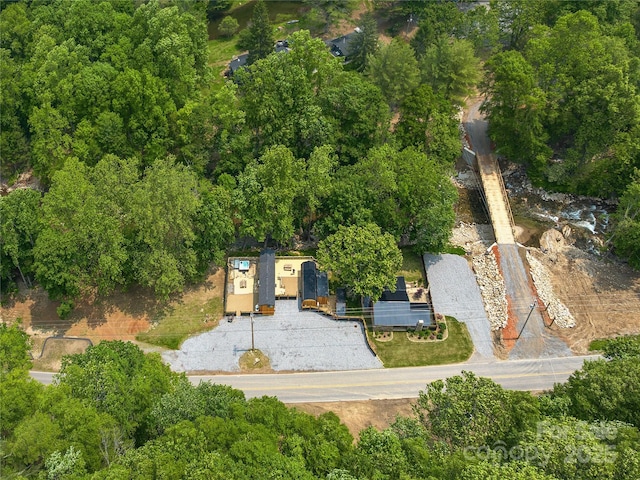 14715 Cruso Rd, Canton, NC 28716 - view of property location