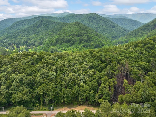 14715 Cruso Rd, Canton, NC 28716 - mountain view with a heavily wooded area