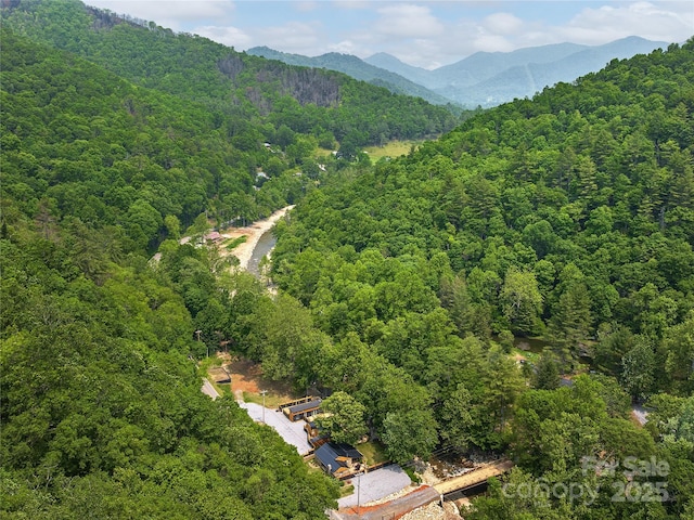 14715 Cruso Rd, Canton, NC 28716 - aerial view of property's location with a forest and mountains