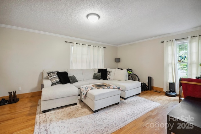360 S Brady Ave, Newton, NC 28658 - living area featuring light wood finished floors, ornamental molding, and a textured ceiling