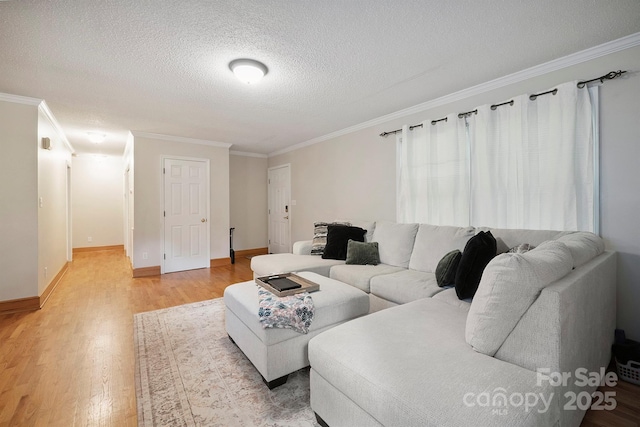 360 S Brady Ave, Newton, NC 28658 - living area featuring light wood finished floors, ornamental molding, and a textured ceiling