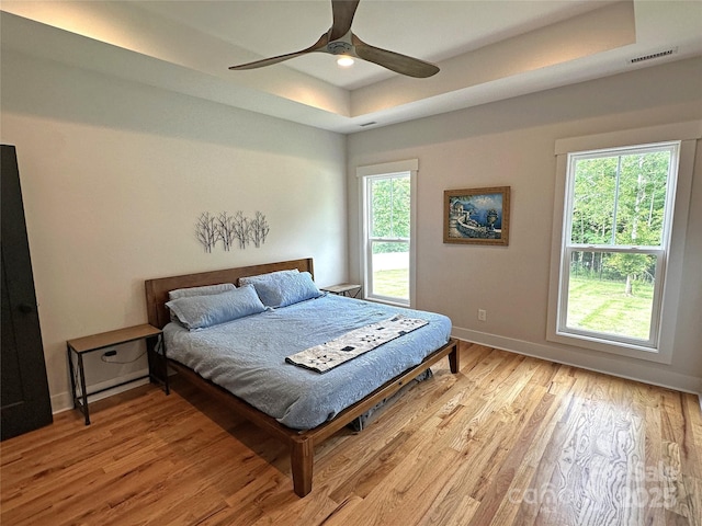 4282 Brandy Creek Ct, Clover, SC 29710 - bedroom with a tray ceiling, multiple windows, light wood-style flooring, and a ceiling fan
