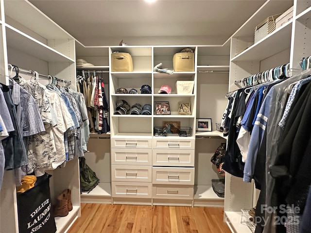 4282 Brandy Creek Ct, Clover, SC 29710 - walk in closet with light wood-style floors