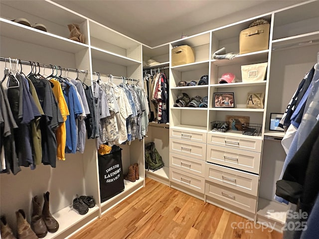 4282 Brandy Creek Ct, Clover, SC 29710 - spacious closet featuring light wood-type flooring