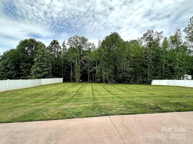 4282 Brandy Creek Ct, Clover, SC 29710 - view of yard