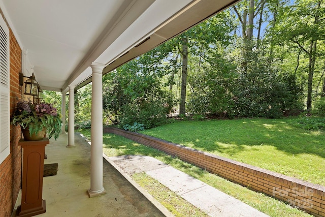 41 Deep Woods Rd, Mills River, NC 28759 - photo 4