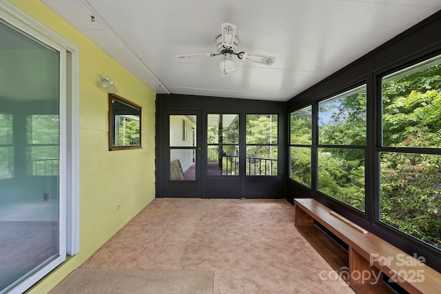 41 Deep Woods Rd, Mills River, NC 28759 - photo 16