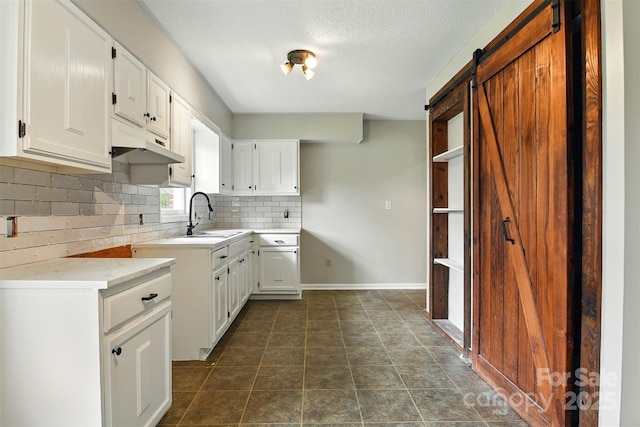 3404 Sheely Rd, Lenoir, NC 28645 - kitchen featuring under cabinet range hood, backsplash, white cabinetry, light countertops, and a barn door