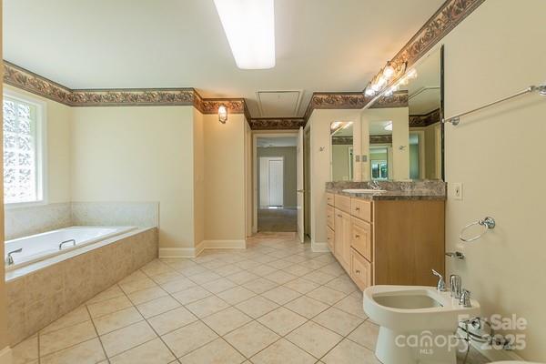 639 Panther Point Trl, Richfield, NC 28137 - full bathroom with a bath, tile patterned floors, vanity, and a bidet
