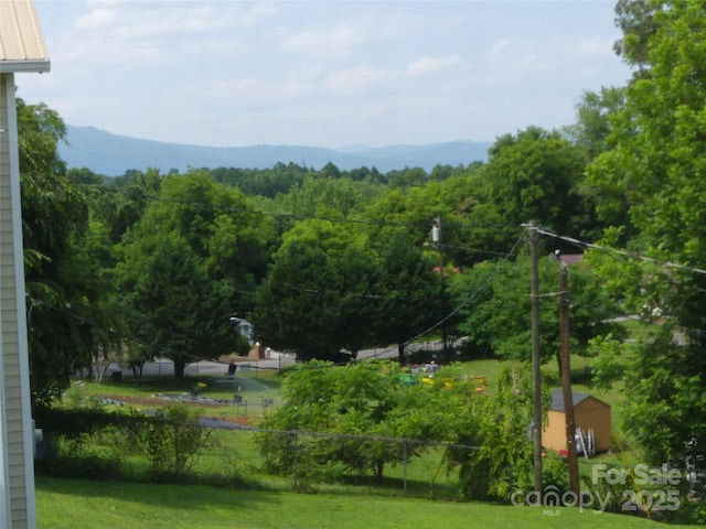 820 Baldwin Ave, Marion, NC 28752 - view of yard featuring a forest view and a storage unit