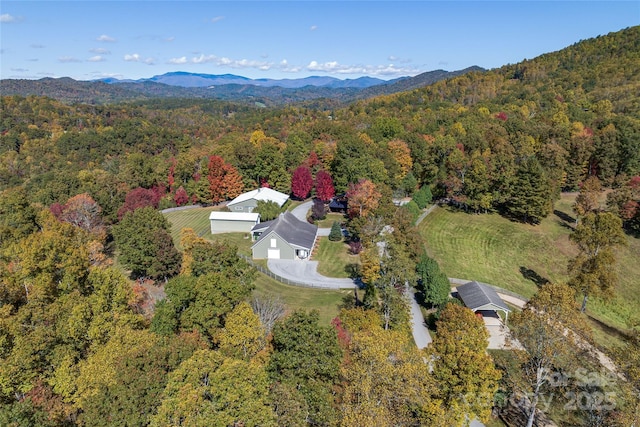 1987 Rabbit Hop Rd, Spruce Pine, NC 28777 - photo 43