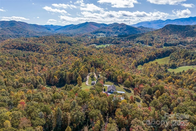 1987 Rabbit Hop Rd, Spruce Pine, NC 28777 - photo 45