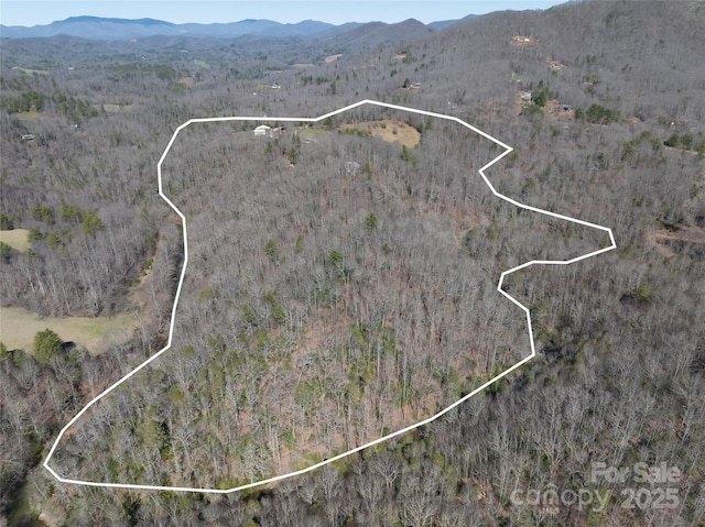 1987 Rabbit Hop Rd, Spruce Pine, NC 28777 - photo 46