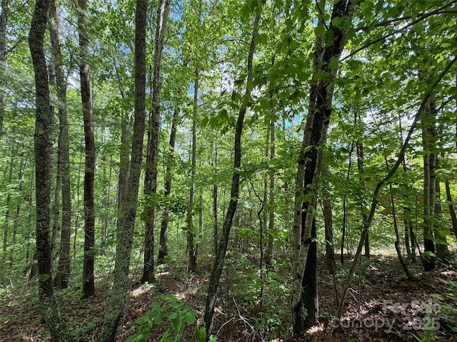 99999 Morning Star Dr Lot 13, Leicester, NC 28748 - photo 1