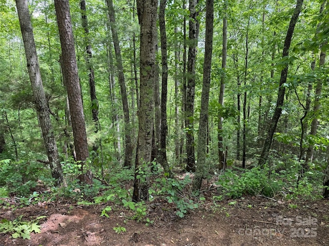 99999 Morning Star Dr Lot 13, Leicester, NC 28748 - photo 2