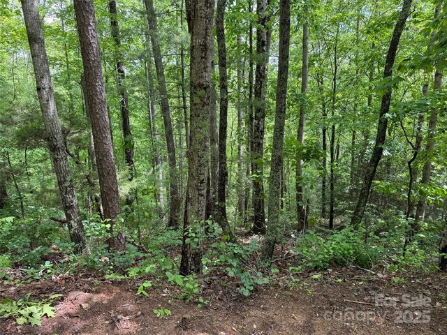 99999 Morning Star Dr Lot 13, Leicester, NC 28748 - photo 3