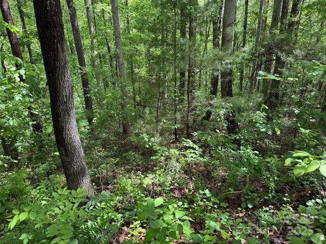 99999 Morning Star Dr Lot 13, Leicester, NC 28748 - photo 4