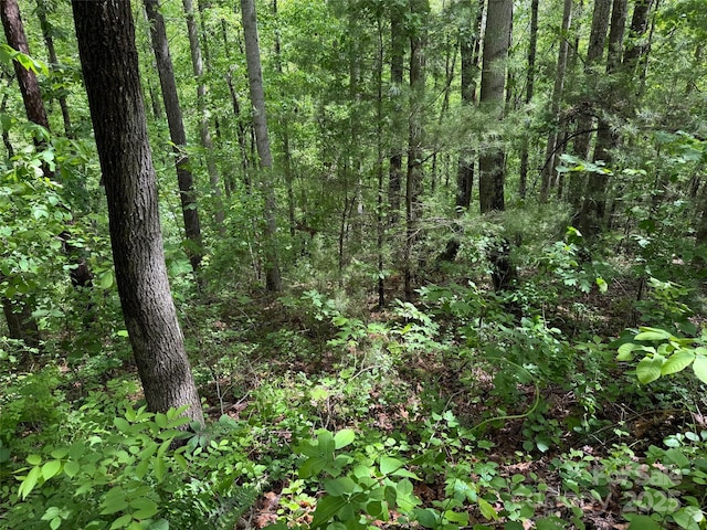 99999 Morning Star Dr Lot 13, Leicester, NC 28748 - photo 5