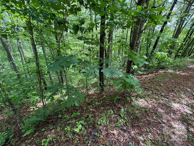 99999 Morning Star Dr Lot 13, Leicester, NC 28748 - photo 6