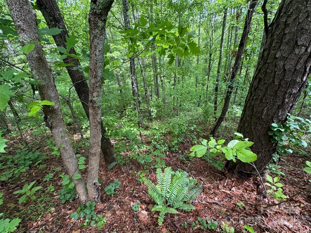 99999 Morning Star Dr Lot 13, Leicester, NC 28748 - photo 7