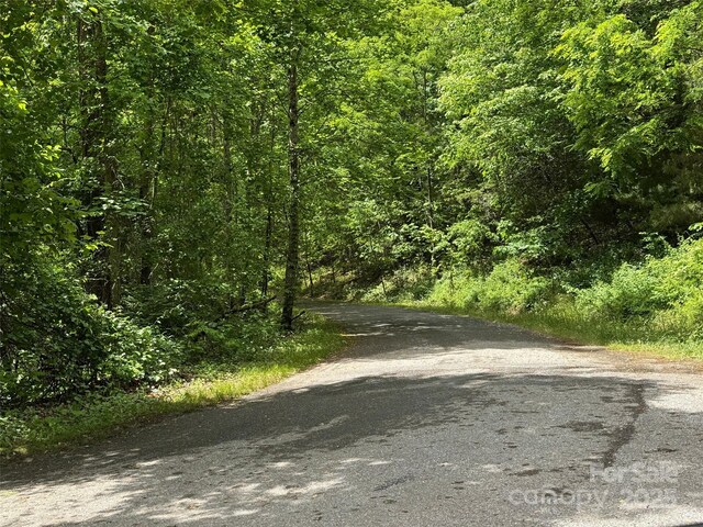 99999 Morning Star Dr Lot 13, Leicester, NC 28748 - photo 9