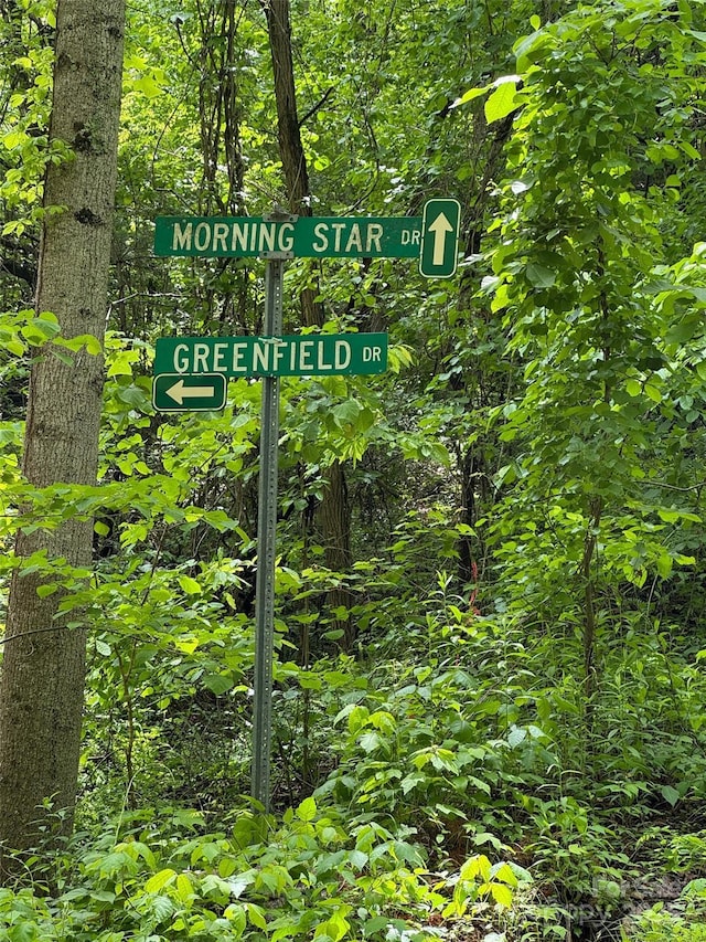 99999 Morning Star Dr Lot 13, Leicester, NC 28748 - photo 10